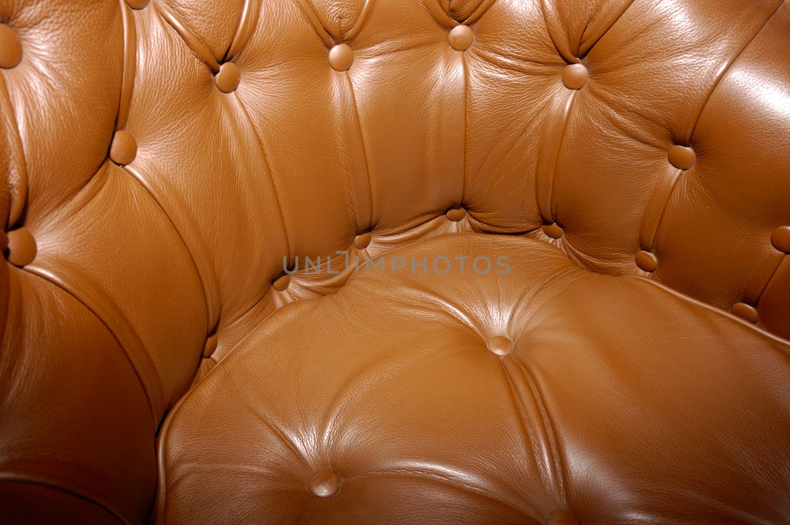 Brown leather seat. by Bateleur