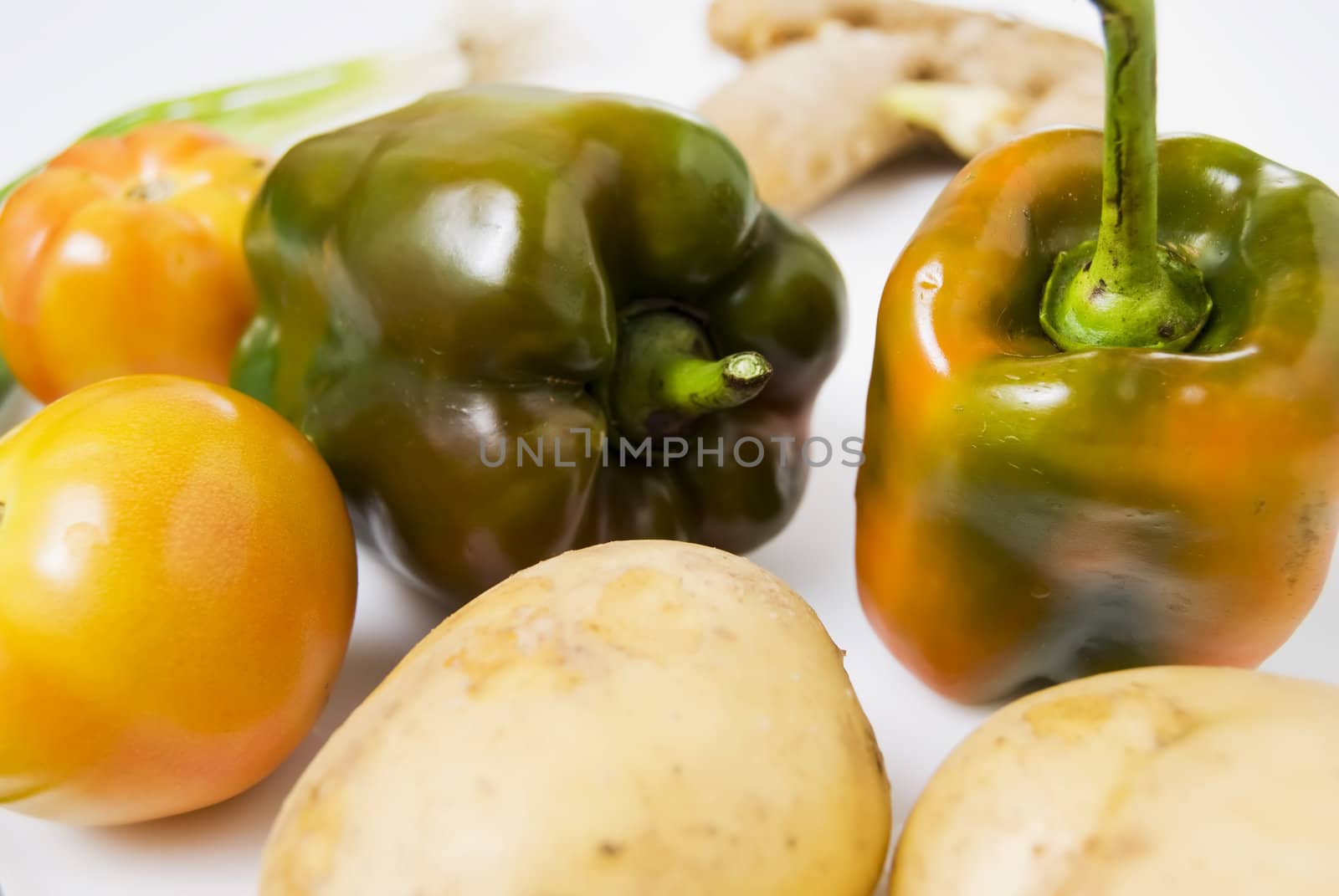 Newly harvested vegetables from the farm                                
