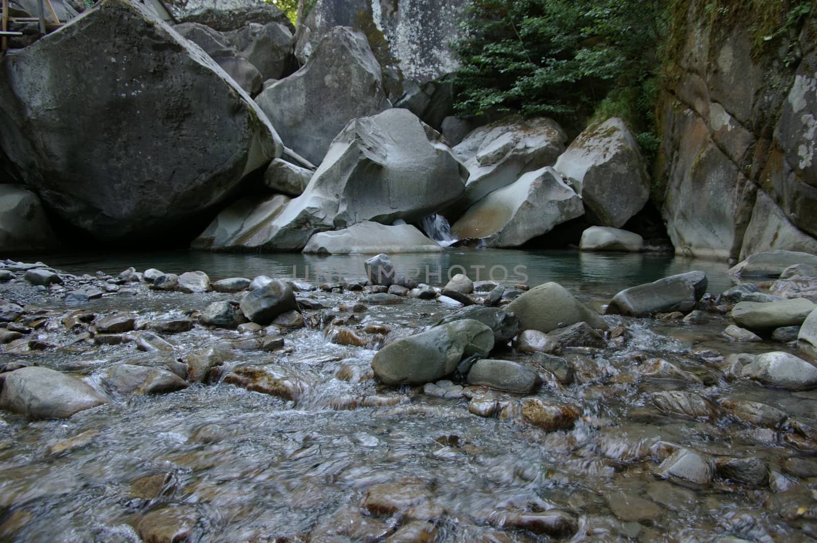 photo of the beautiful stream in tropical wood