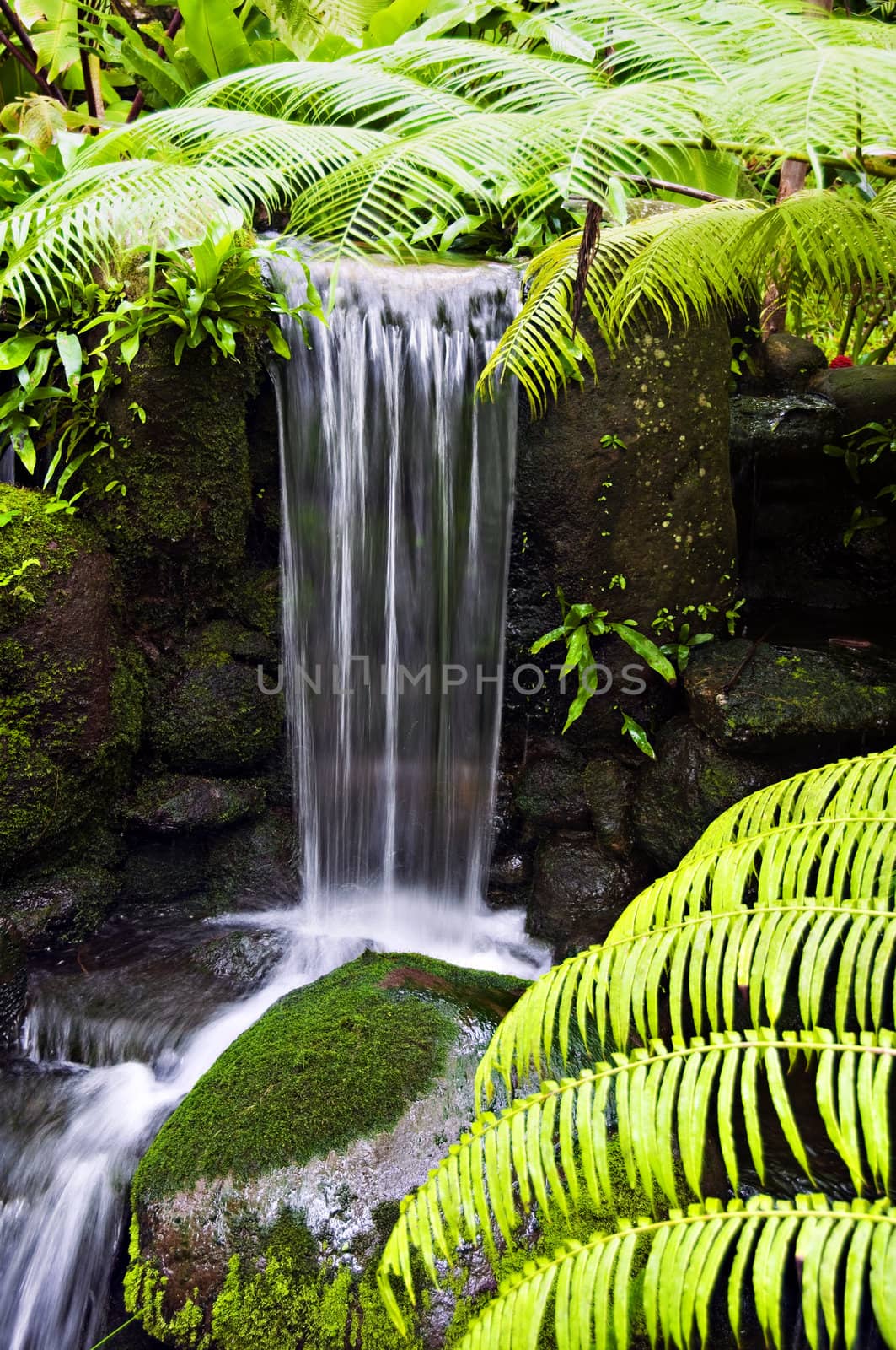 Small manmade waterfall inside a private park