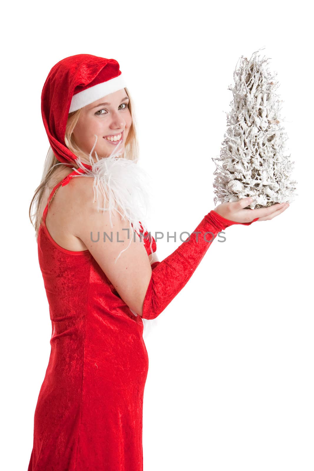 Pretty girl in a santa dress holding up a very small white christmas tree