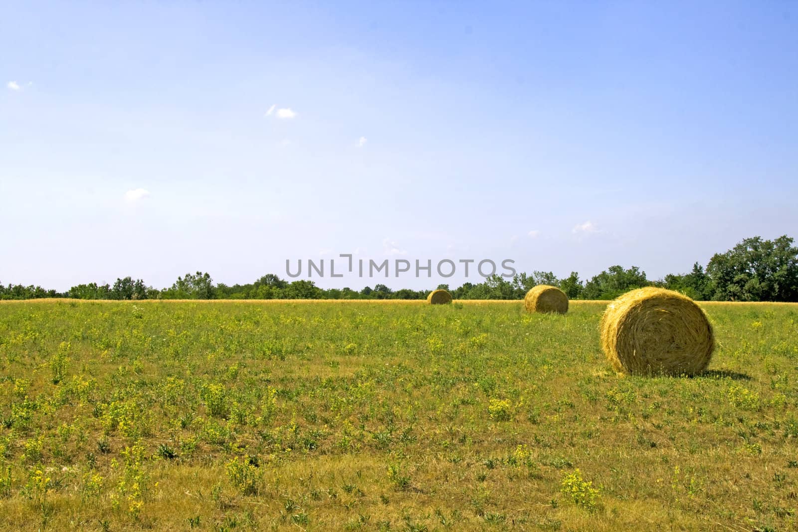 Balls on a field under a blue sky