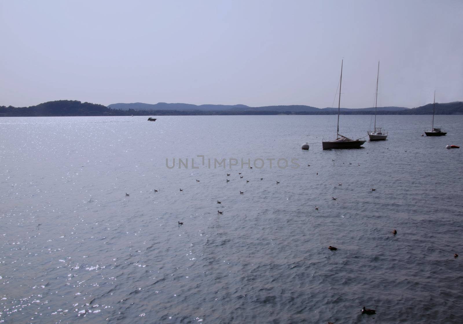 Calm landscape of a lake with sun reflection