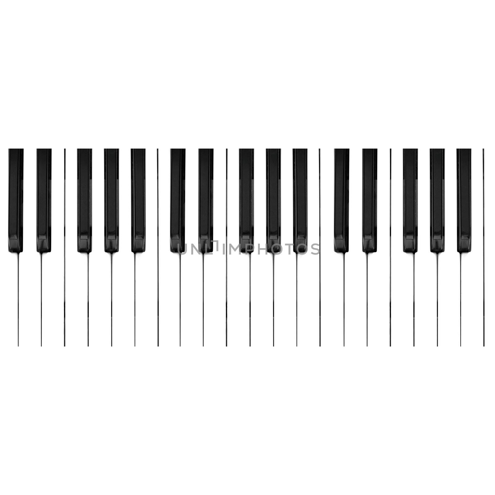 Detail of keys on a music keyboard
