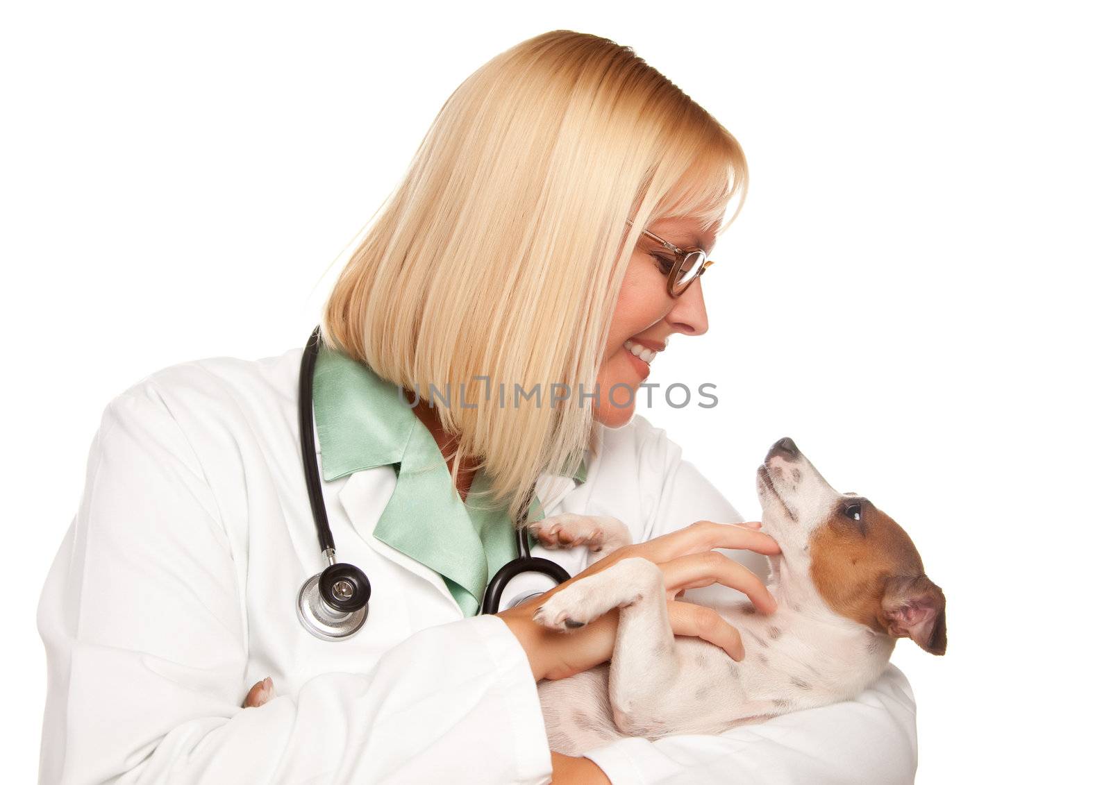 Attractive Female Doctor Veterinarian with Small Puppy Isolated on a White Background.