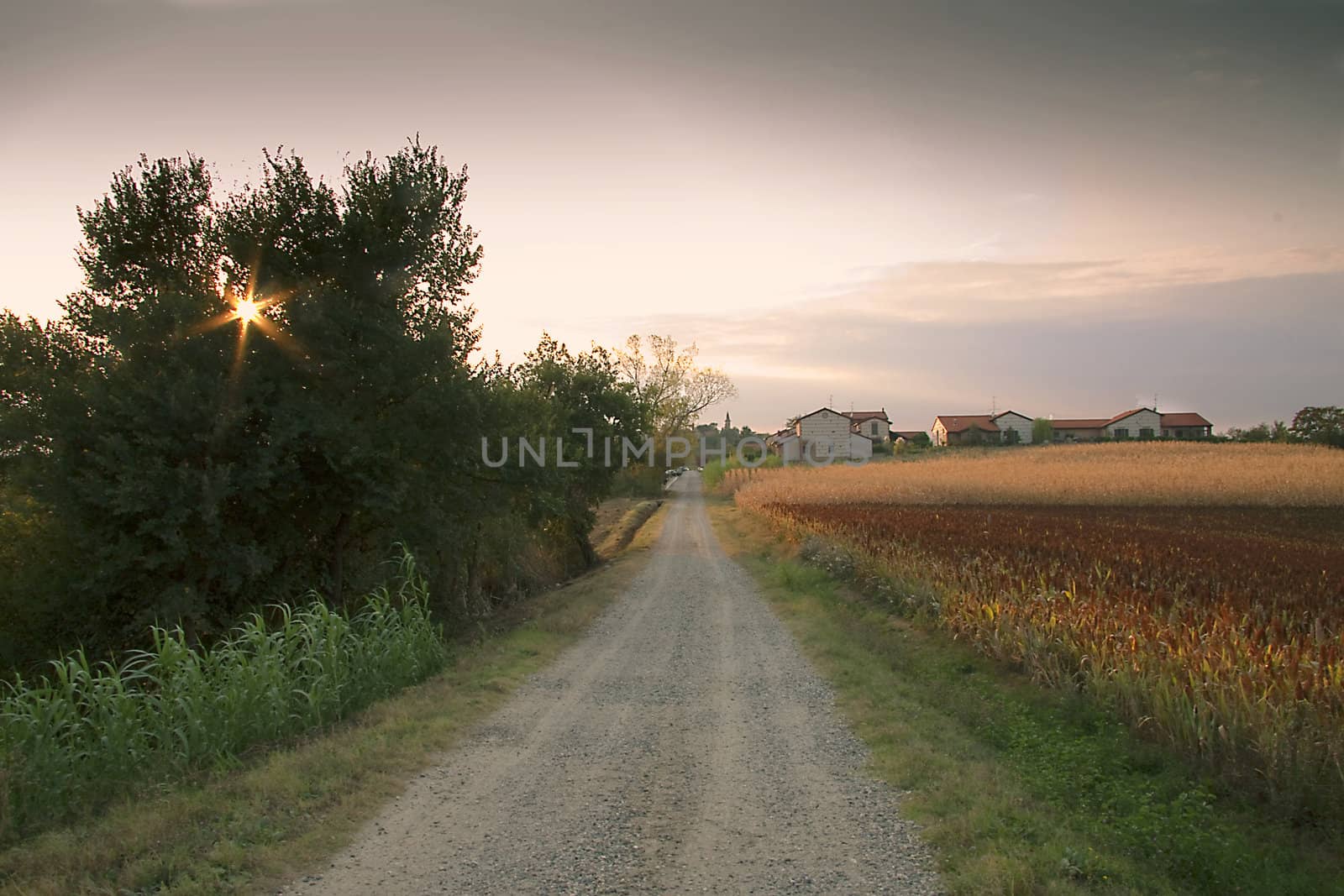 A road cuts between the fields in the country, with buildings on the background