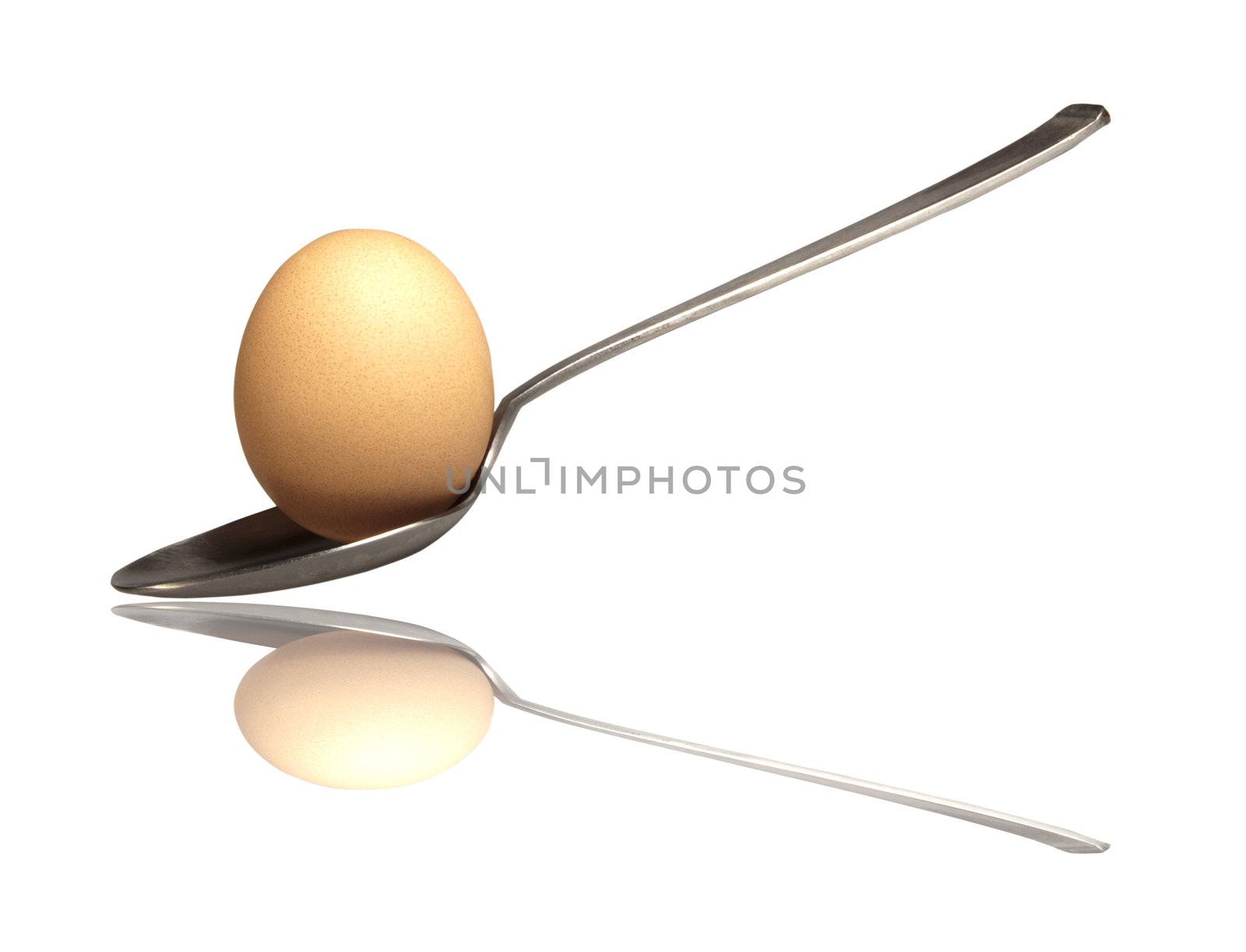 Egg on a spoon, white background with reflection