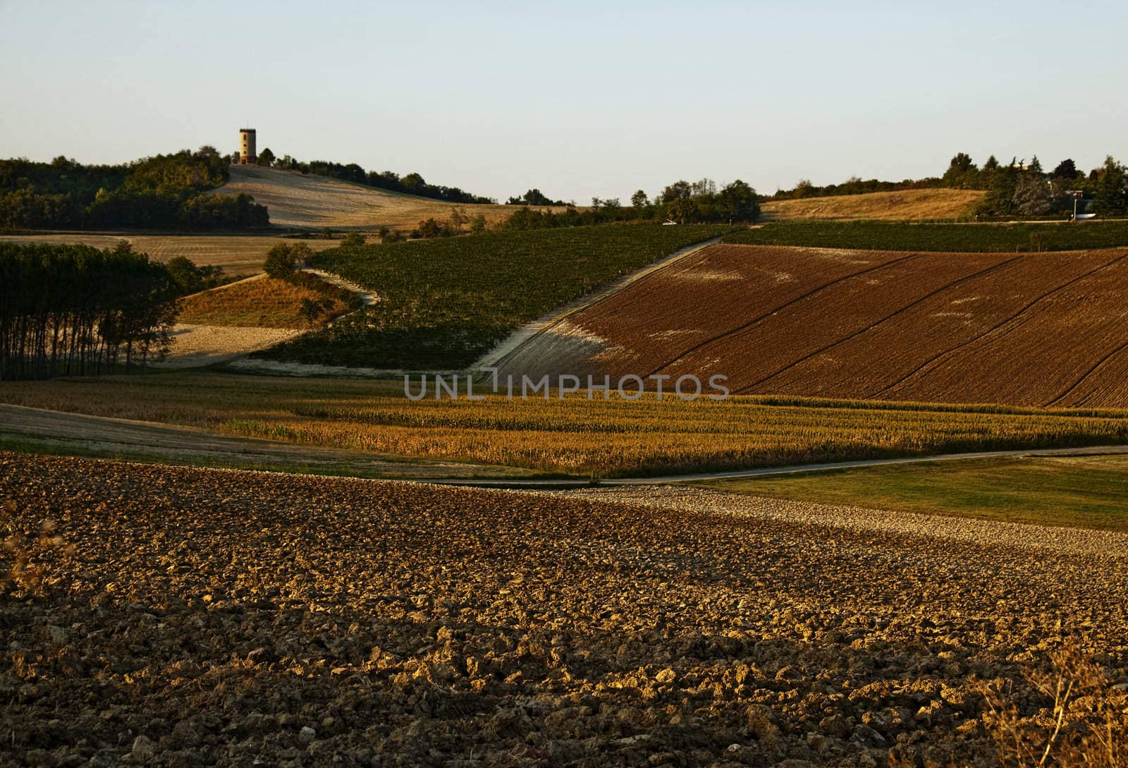 Landscape of hills and fields at the sunset