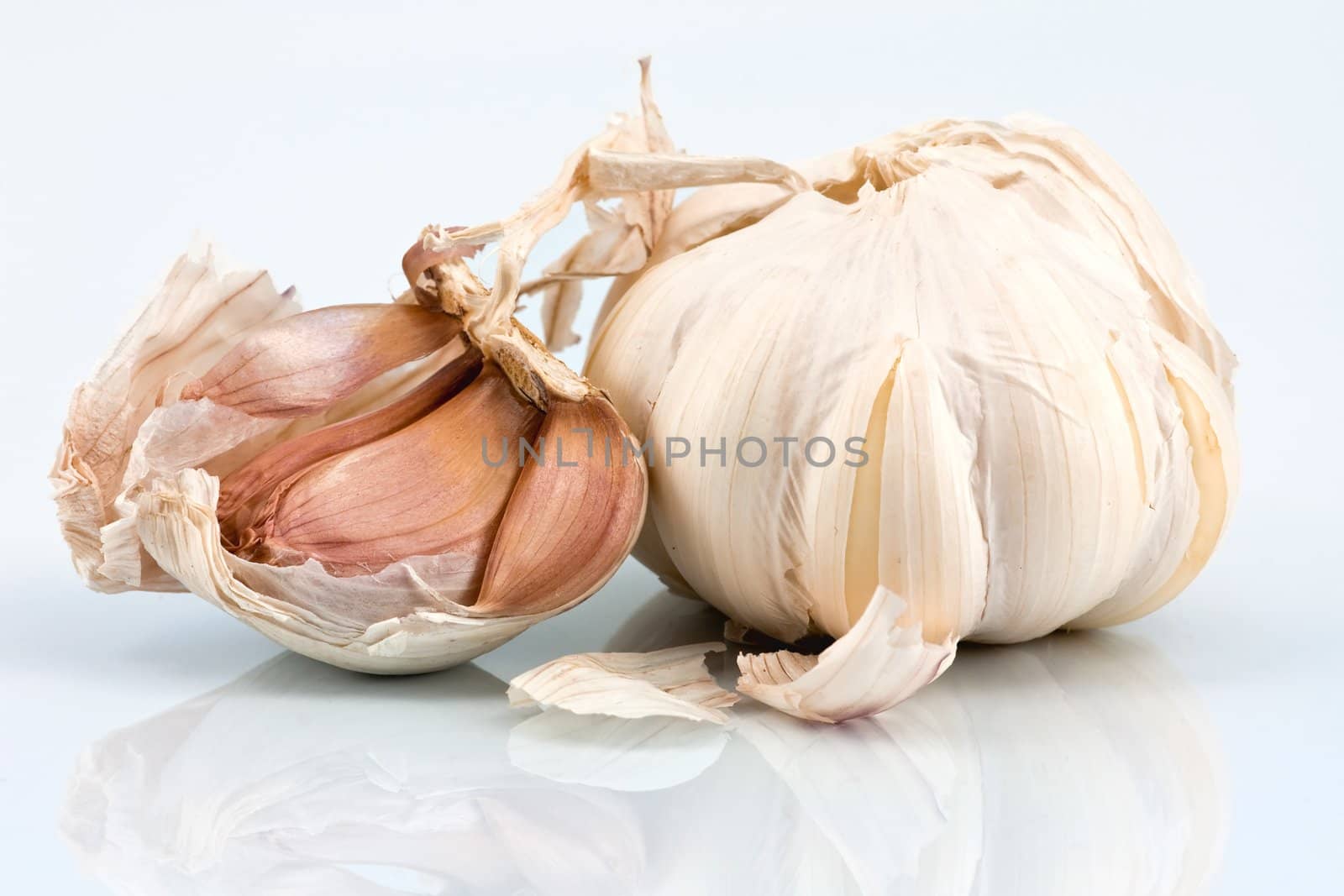Garlic bulb and cloves by helgy
