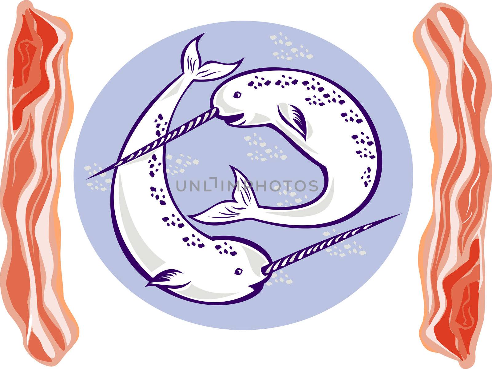 illustration of two narwhal Monodon monoceros unicorn whale with tusk horns set inside oval done with bacon on side