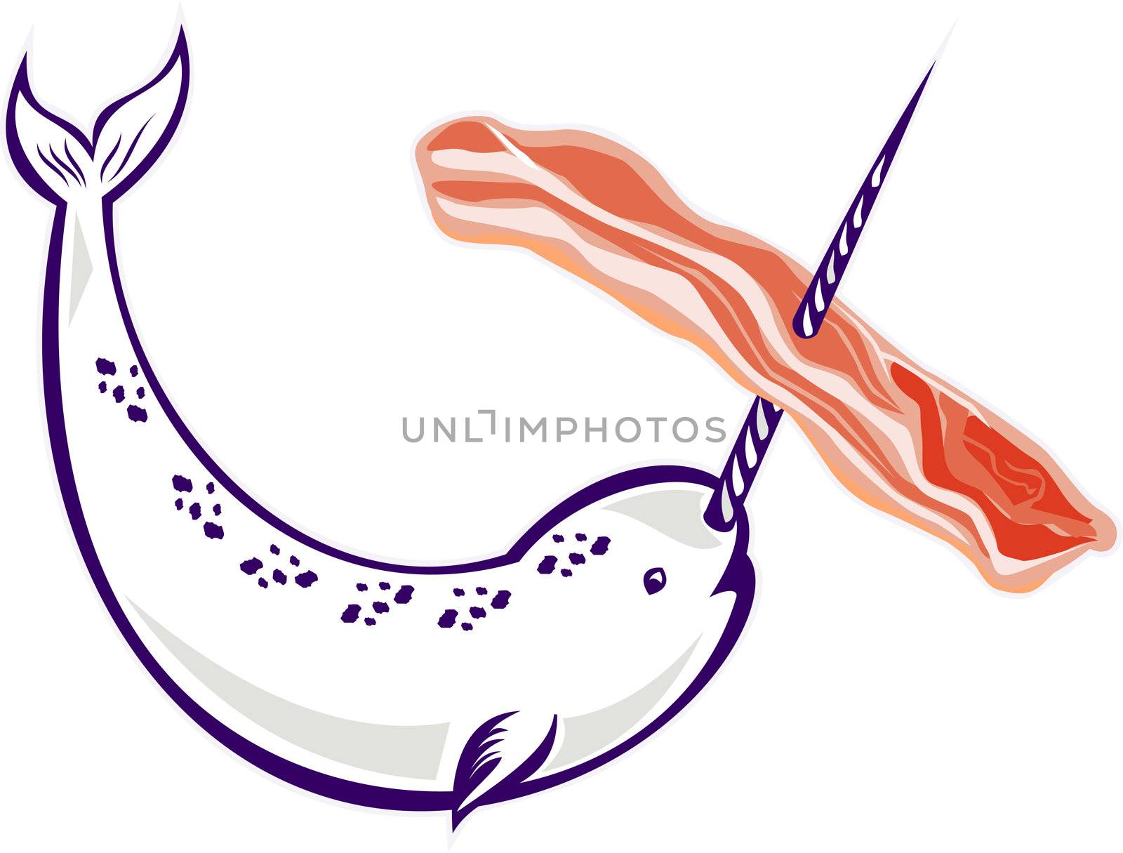 illustration of narwhal whale Monodon monoceros unicorn whale stringing bacon with tusk horn