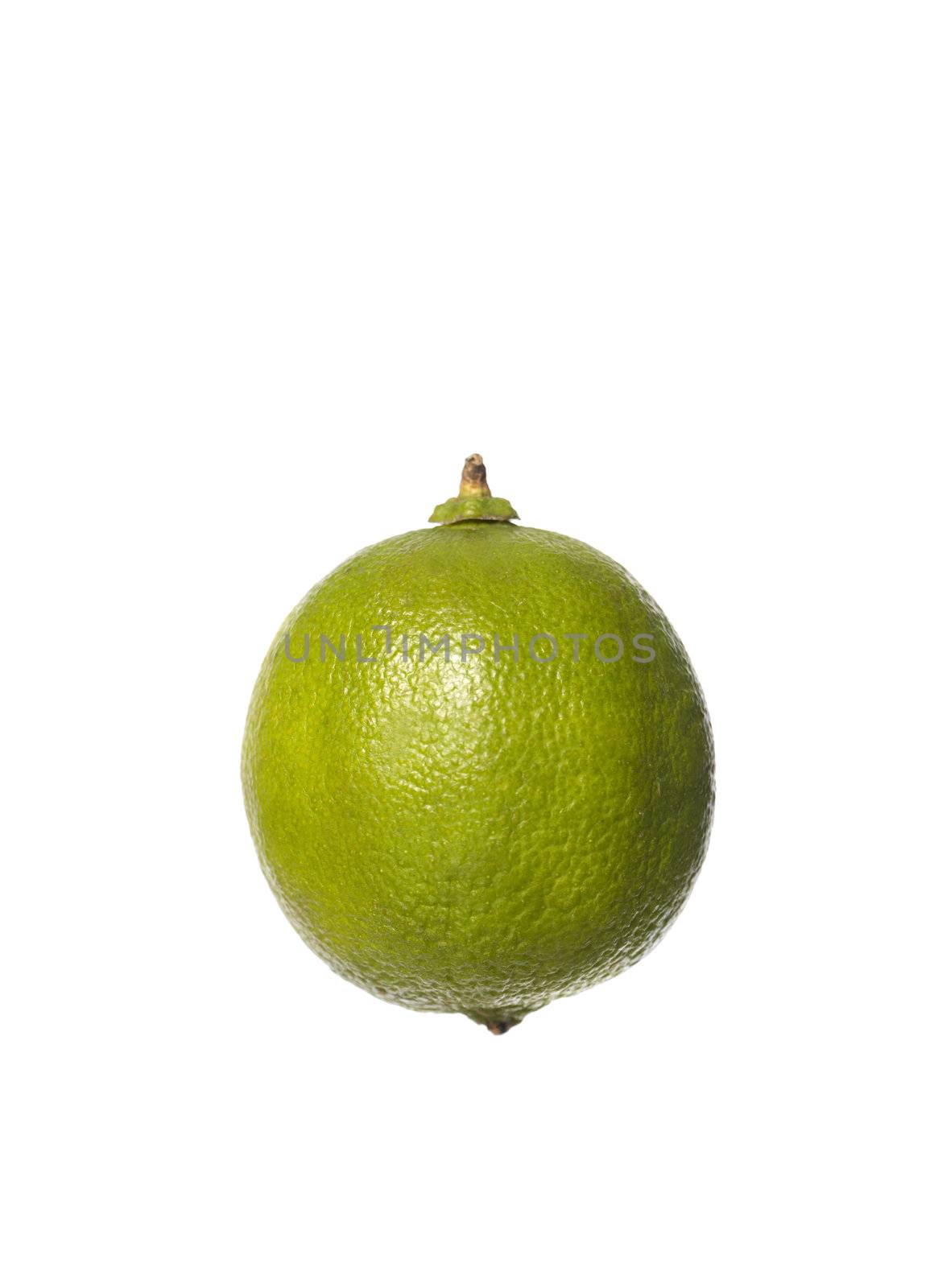 Lime by gemenacom