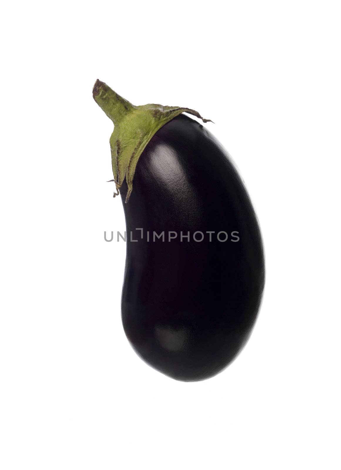 eggplant by gemenacom