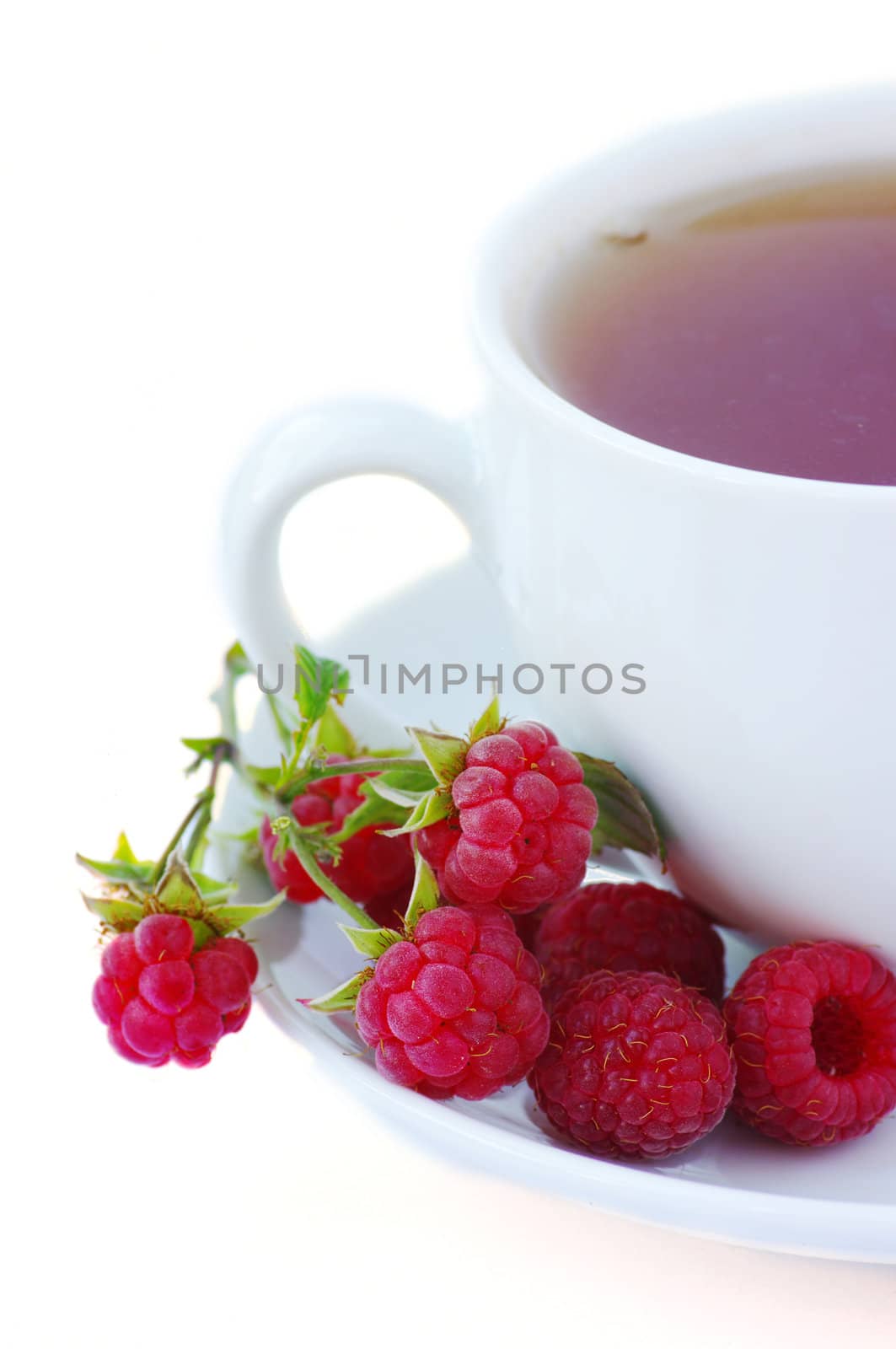 raspberry tea on the white background. Herbal tea.
