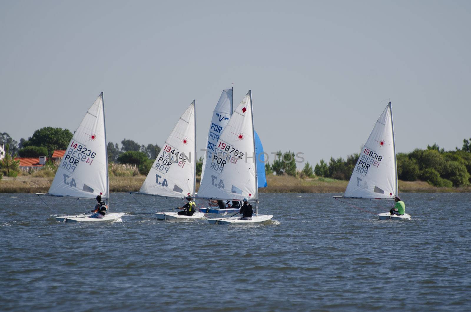 AVEIRO - AUGUST 27: Laser class participants during the 49th Cruzeiro da Ria August 27, 2011 in Aveiro, Portugal.