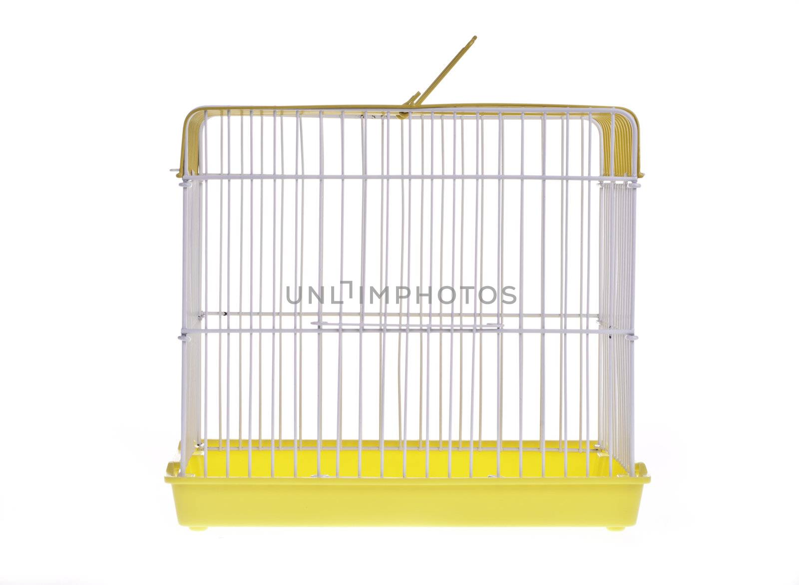 Empty golden bird cage  isolated on white