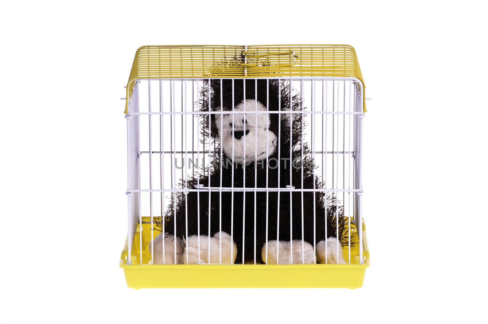 A black monkey in the golden cage, it looks like feeling depressed