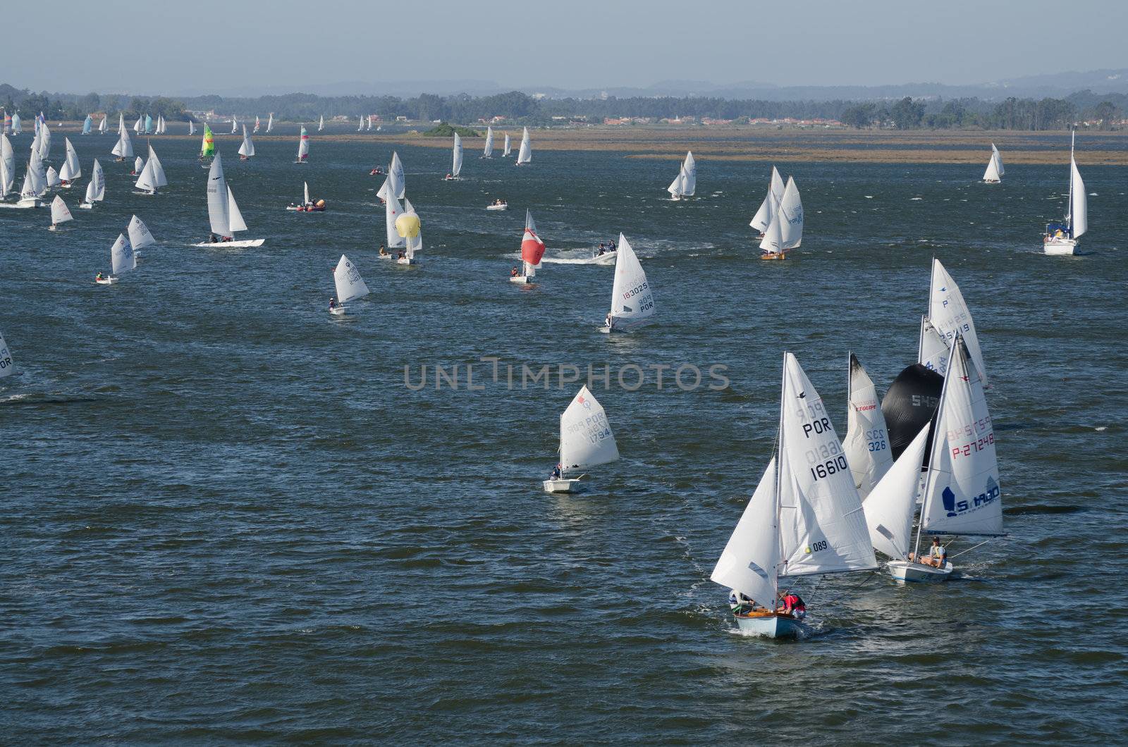 AVEIRO - AUGUST 27: All participating classes competition during the 49th Cruzeiro da Ria August 27, 2011 in Aveiro, Portugal.
