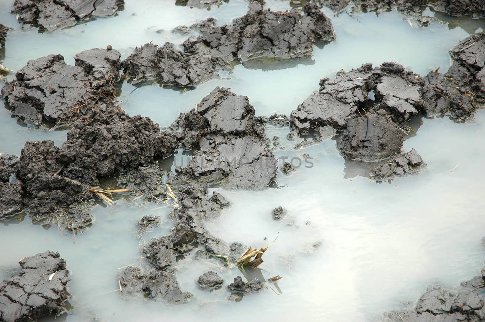 closeup picture of wet land that commonly found in ricefiled when ready to be planted