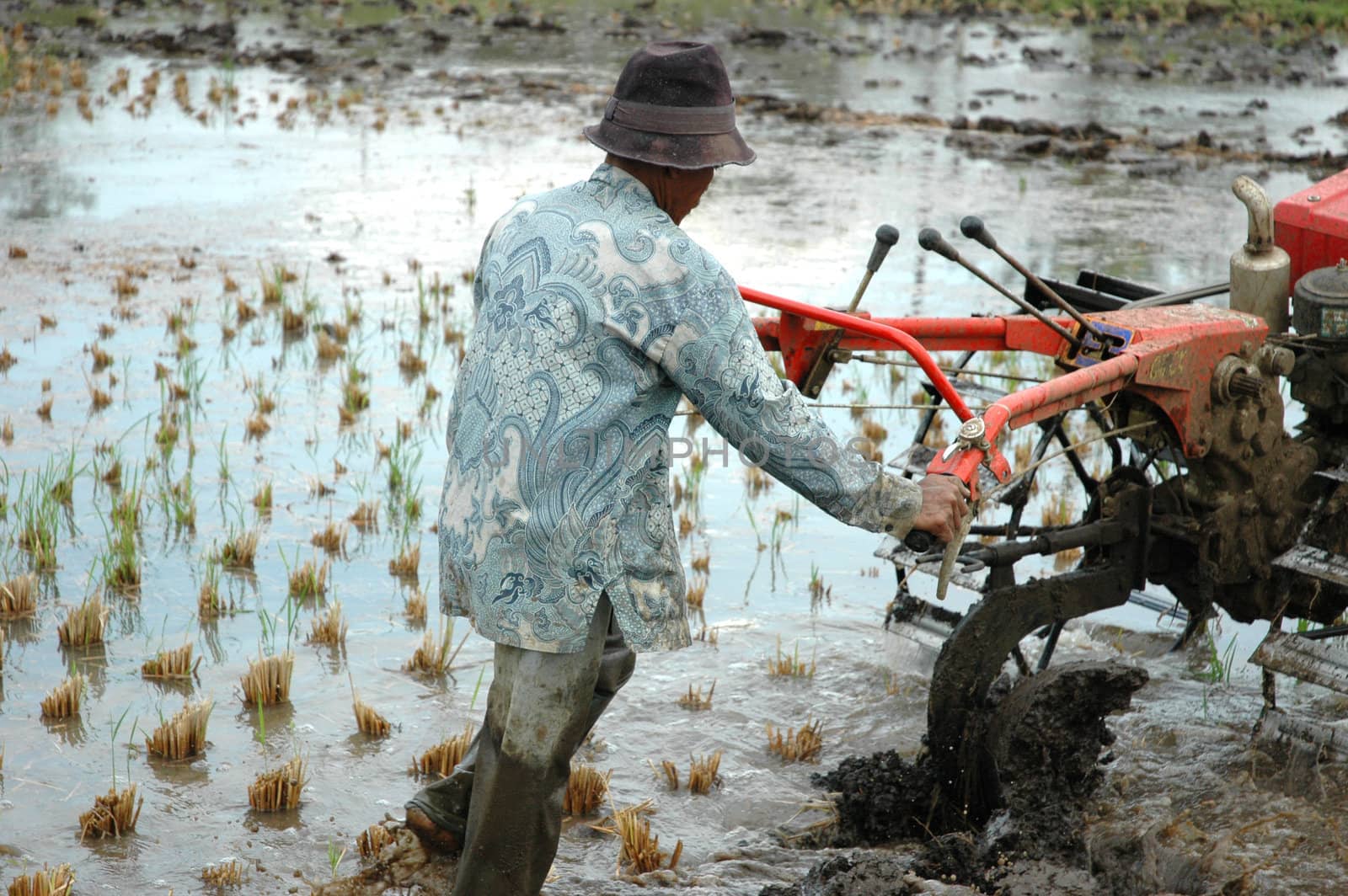 farmer are using his tractor to plowing up the land for planting ricefield