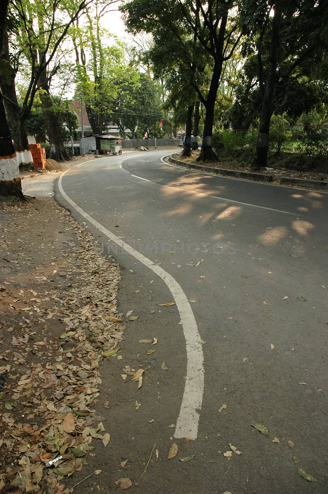 Suburban free road in the middle of city
