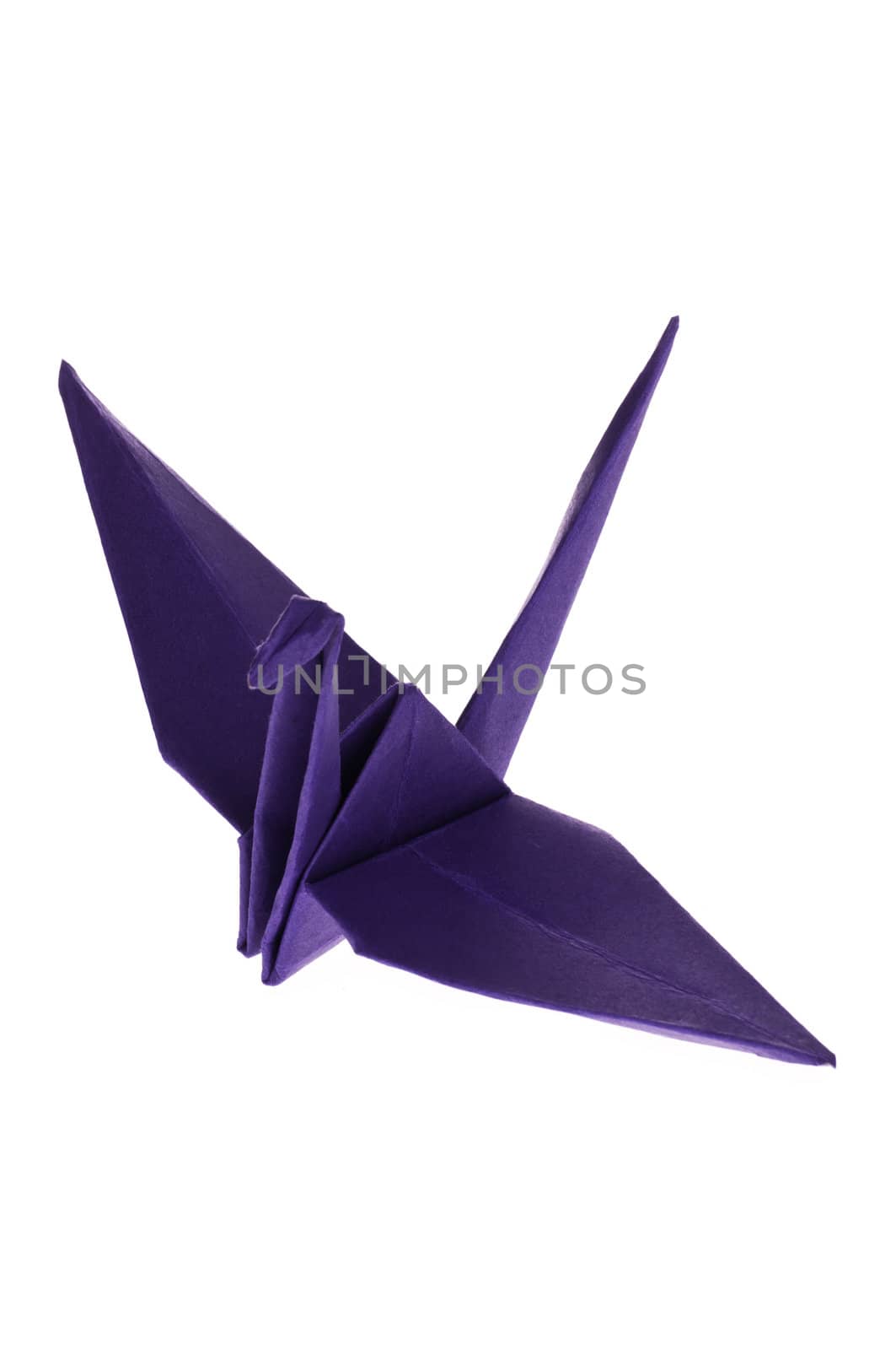 A purple Origami Crane isolated on white background