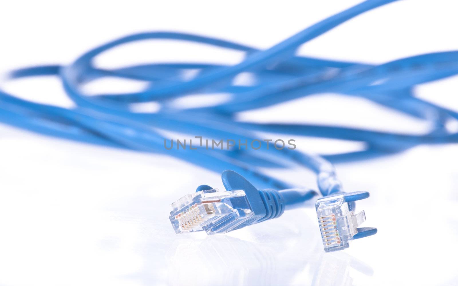 Blue Utp cable for internet isolated on white