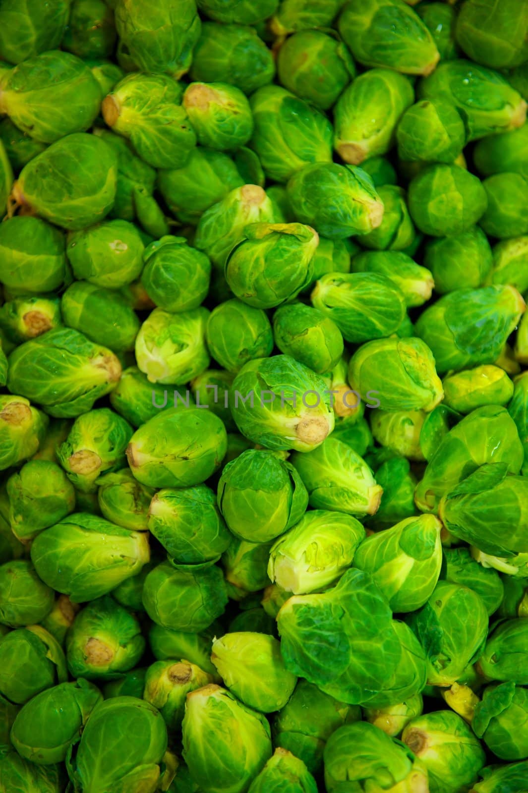 Green Brussell Sprouts in pile by pixelsnap