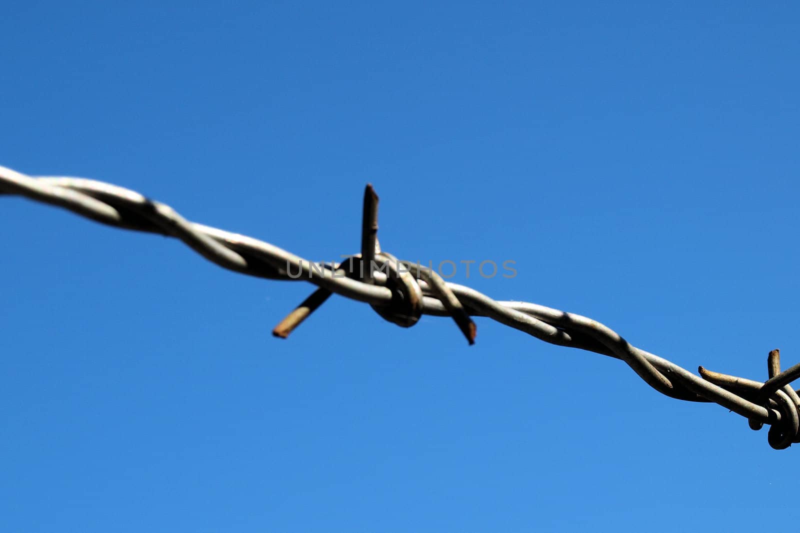 Strand of barbed wire shown up close against the blue sky