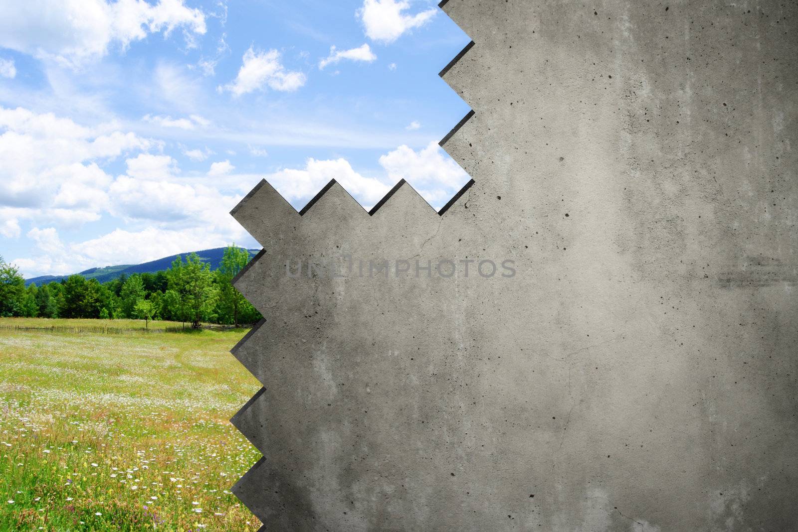 Background with nature and a concrete wall