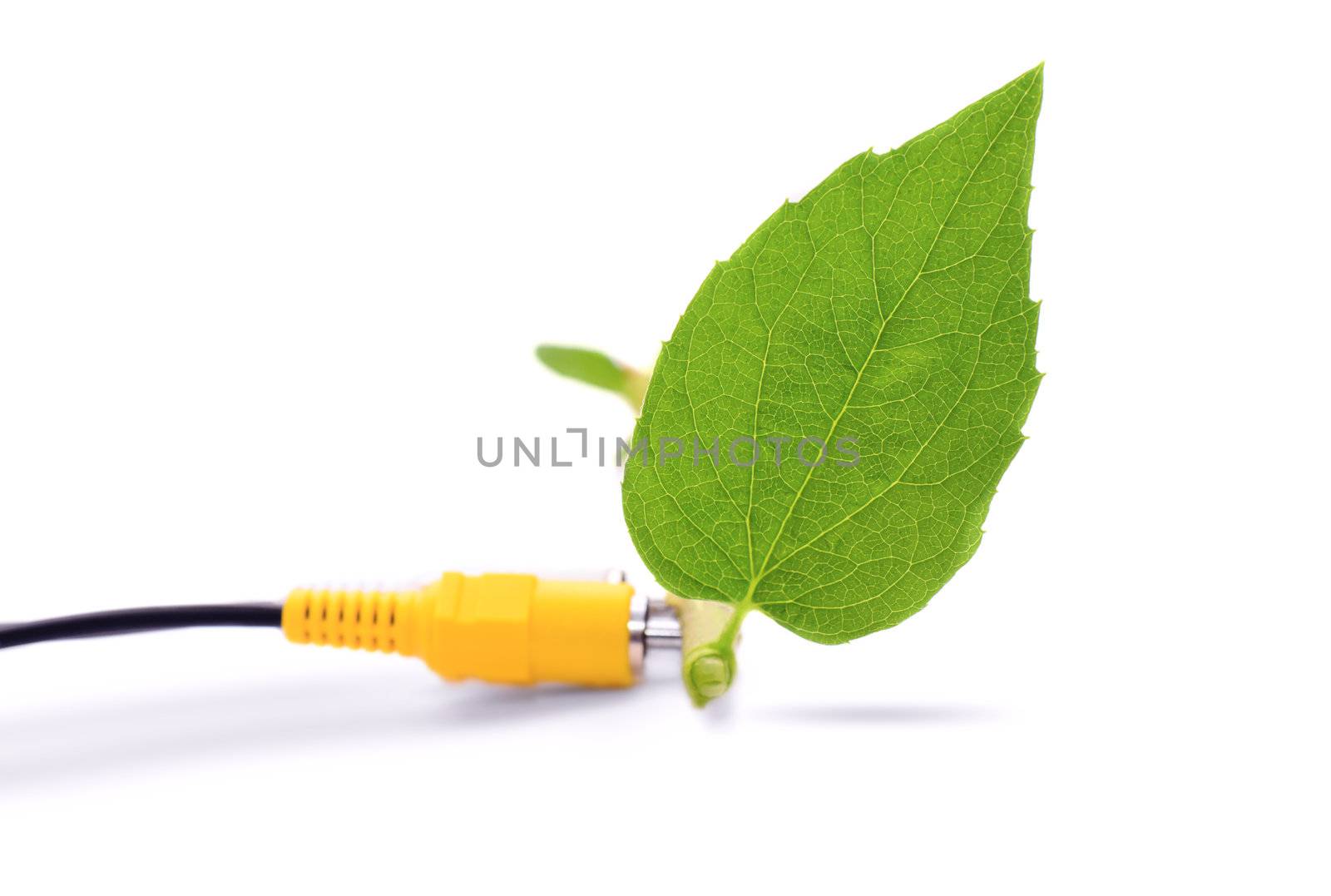 Leaf and cable isolated on white background