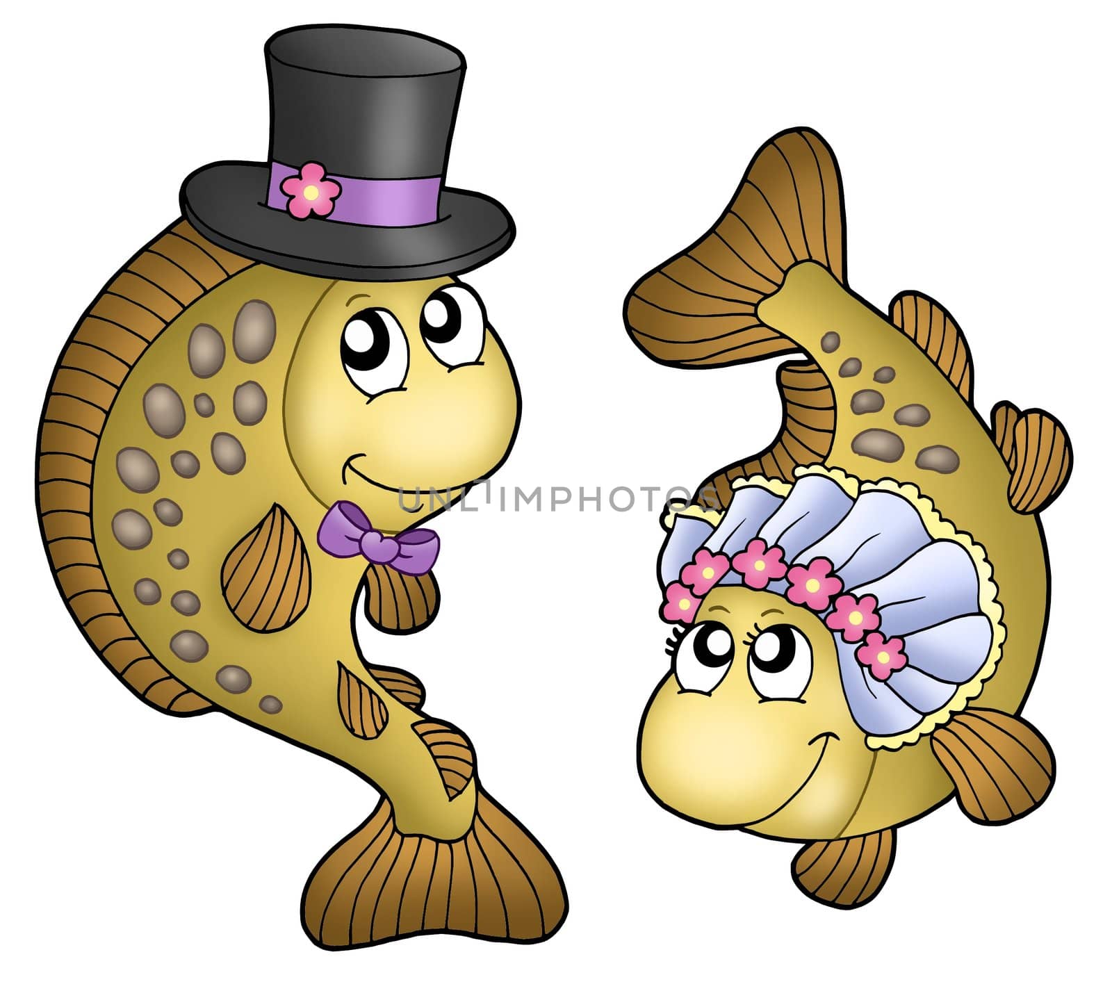 Wedding with cute carps - color illustration.