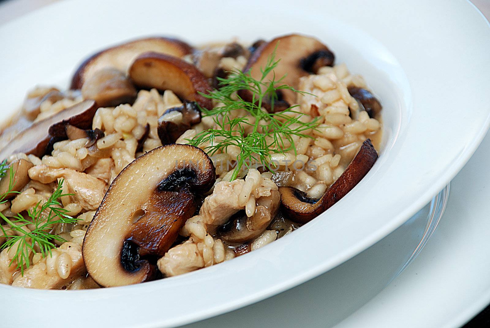 Mushroom risotto