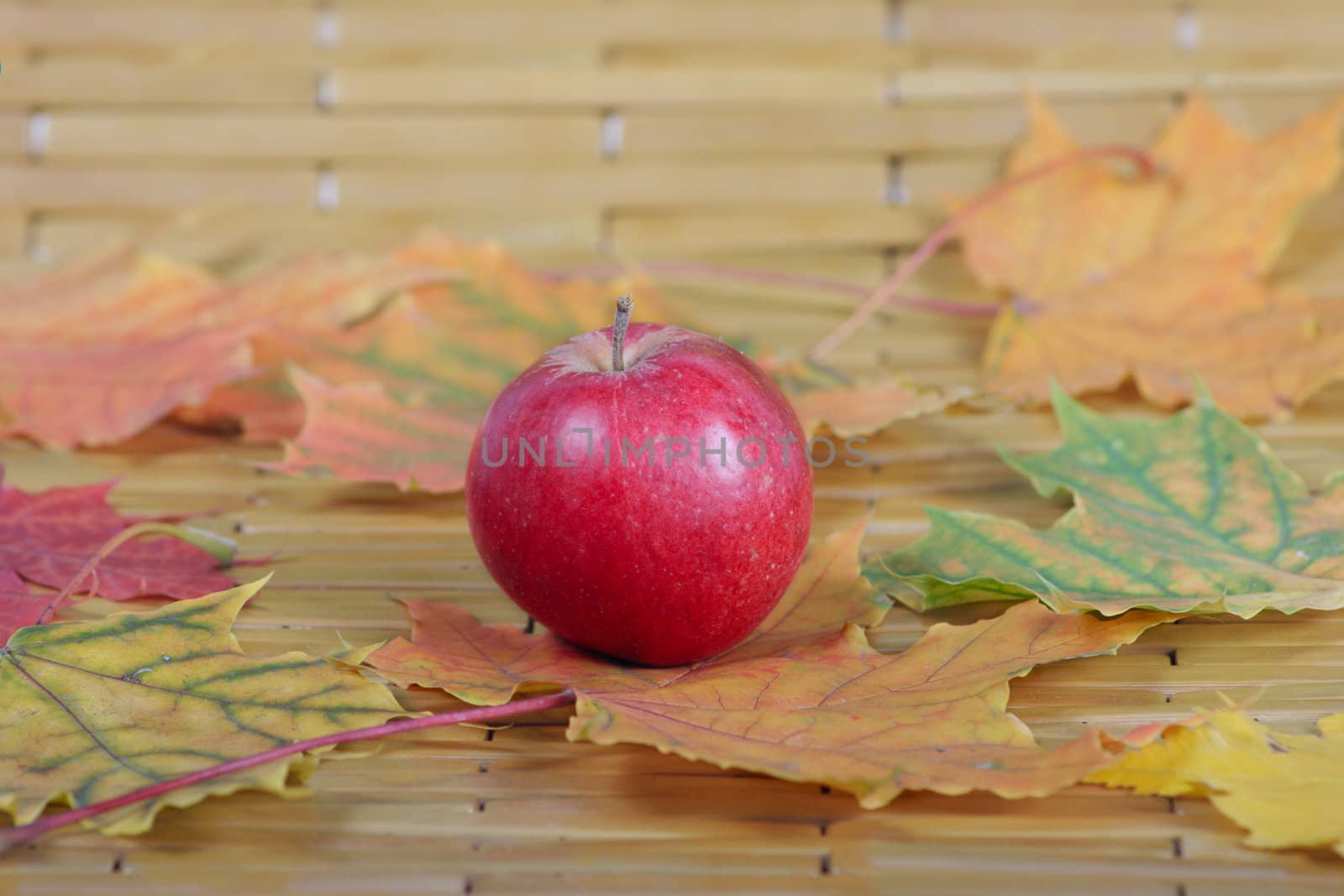 The red apple which has been removed on a bamboo napkin in an environment of autumn leaves