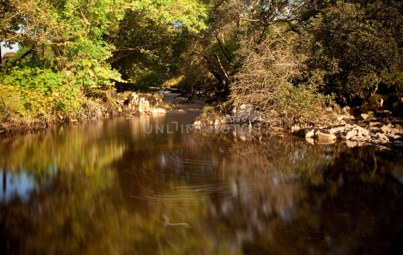 Slow motion water in secluded river by steheap