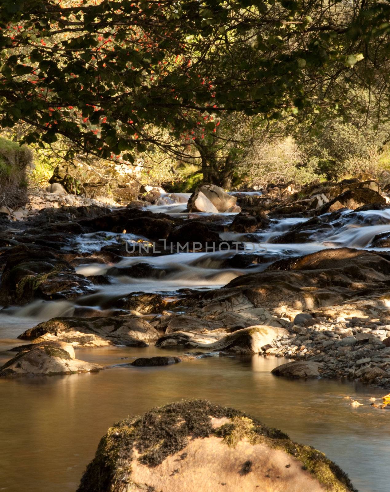 Slow motion water in small river by steheap