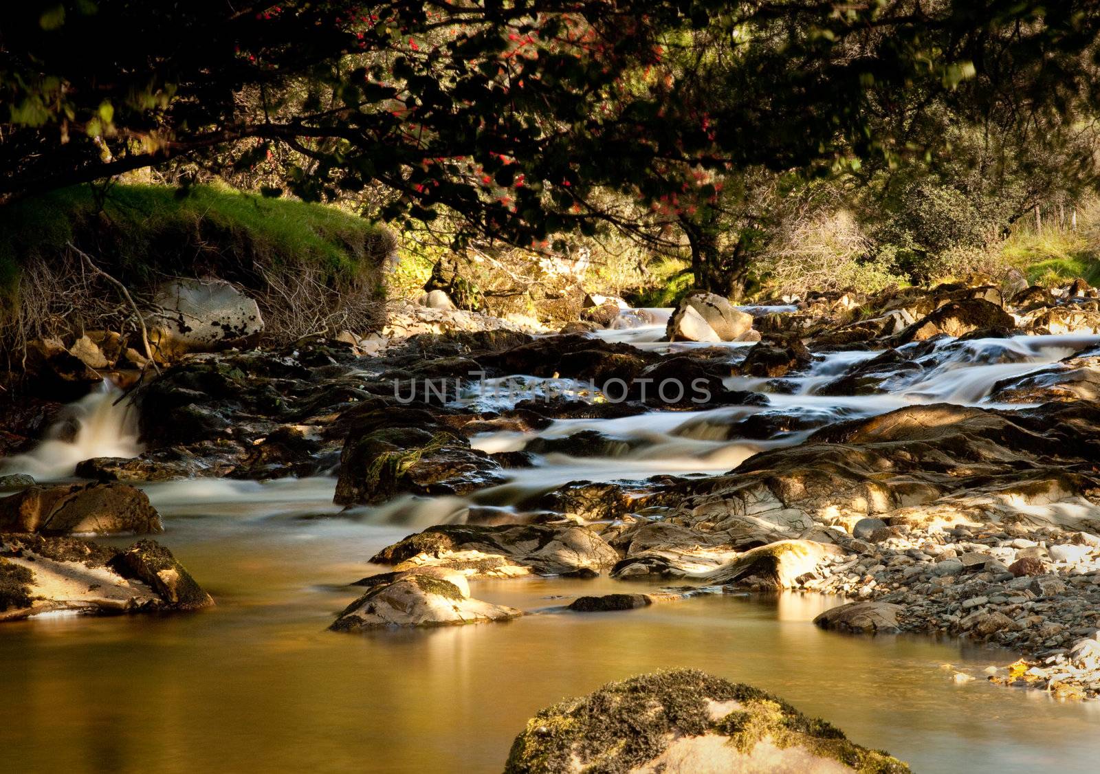 Beautiful peat laden river in verdant Welsh valley