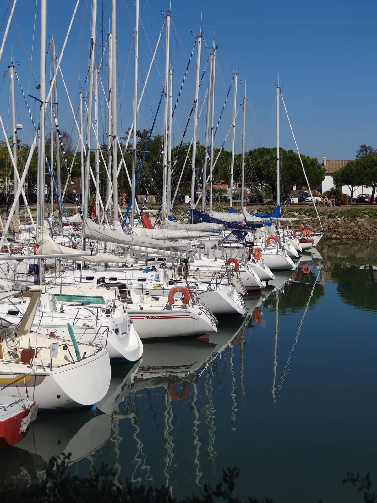 on Oleron island