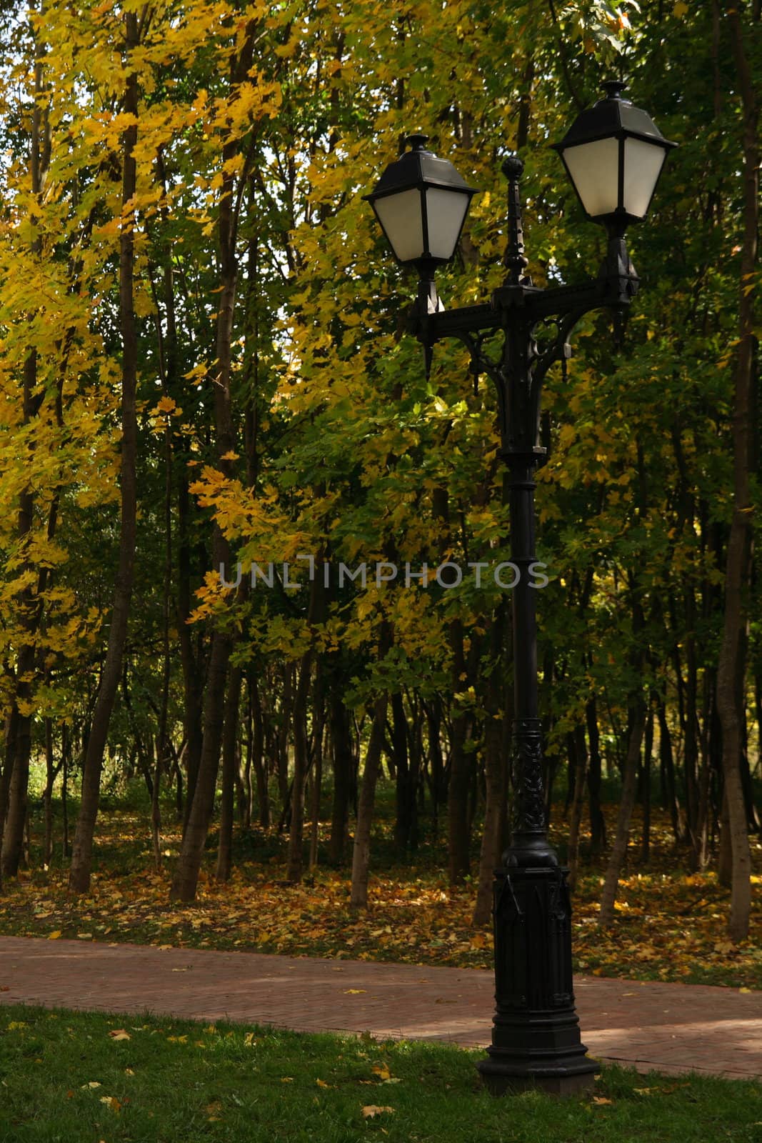 Metal street lamp in the fading autumn park