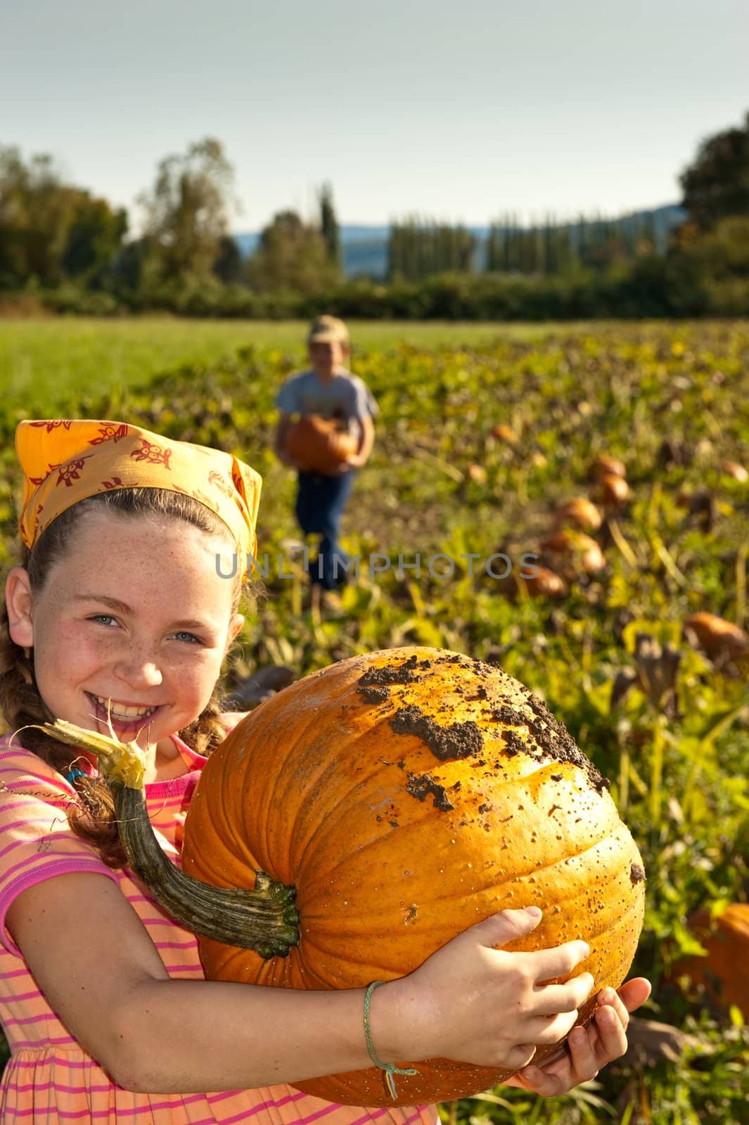 young girl in field holding large pumpkind