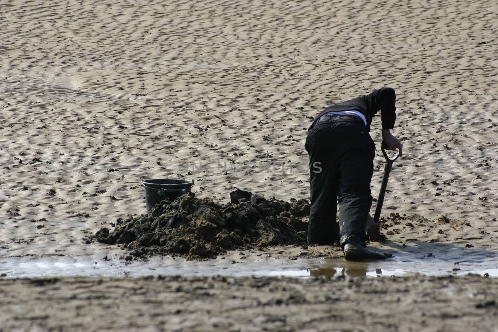 man digging for worms in the sand to use as bait