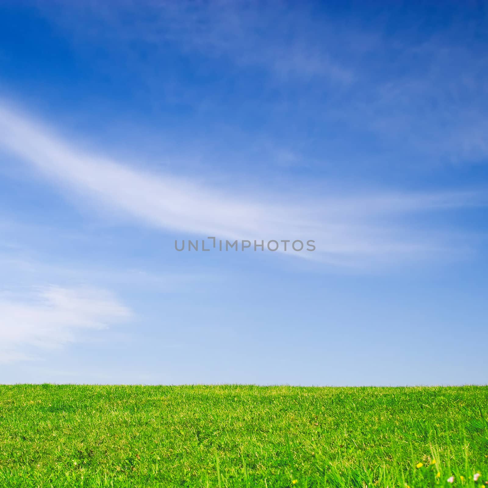 Green Field and Blue Sky