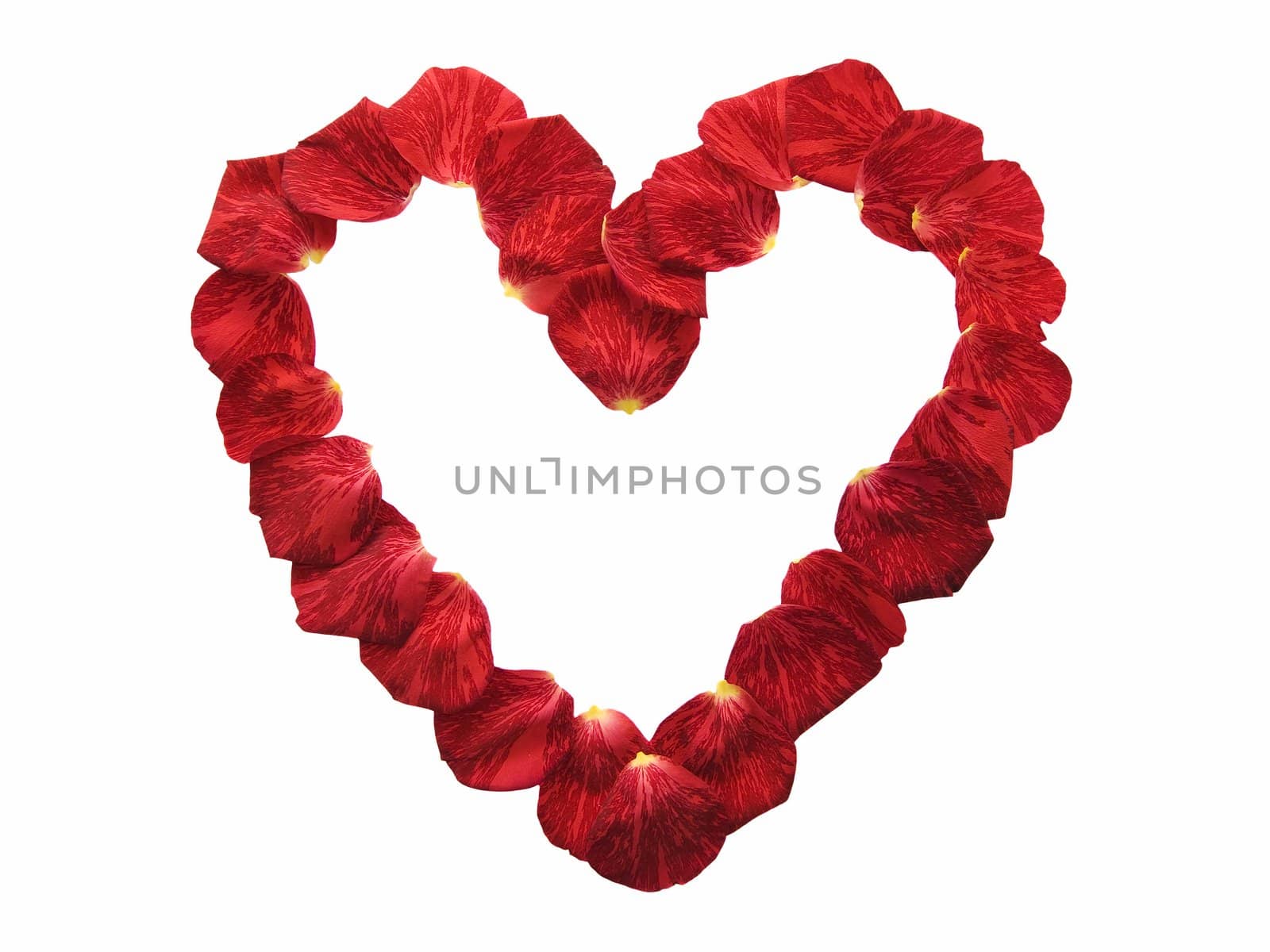 Heart shape made of red rose petals isolated on white