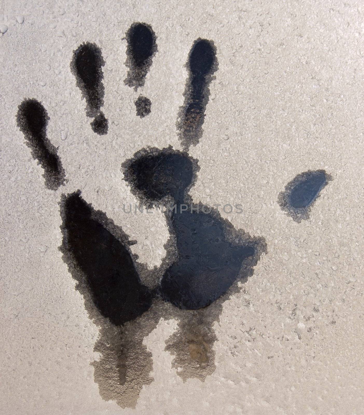 Frozen Handprint by bhathaway