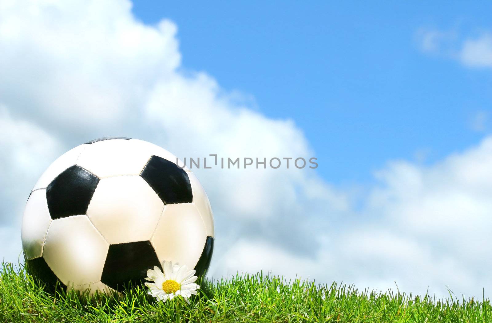 Soccerball with daisy against a blue sky by Sandralise