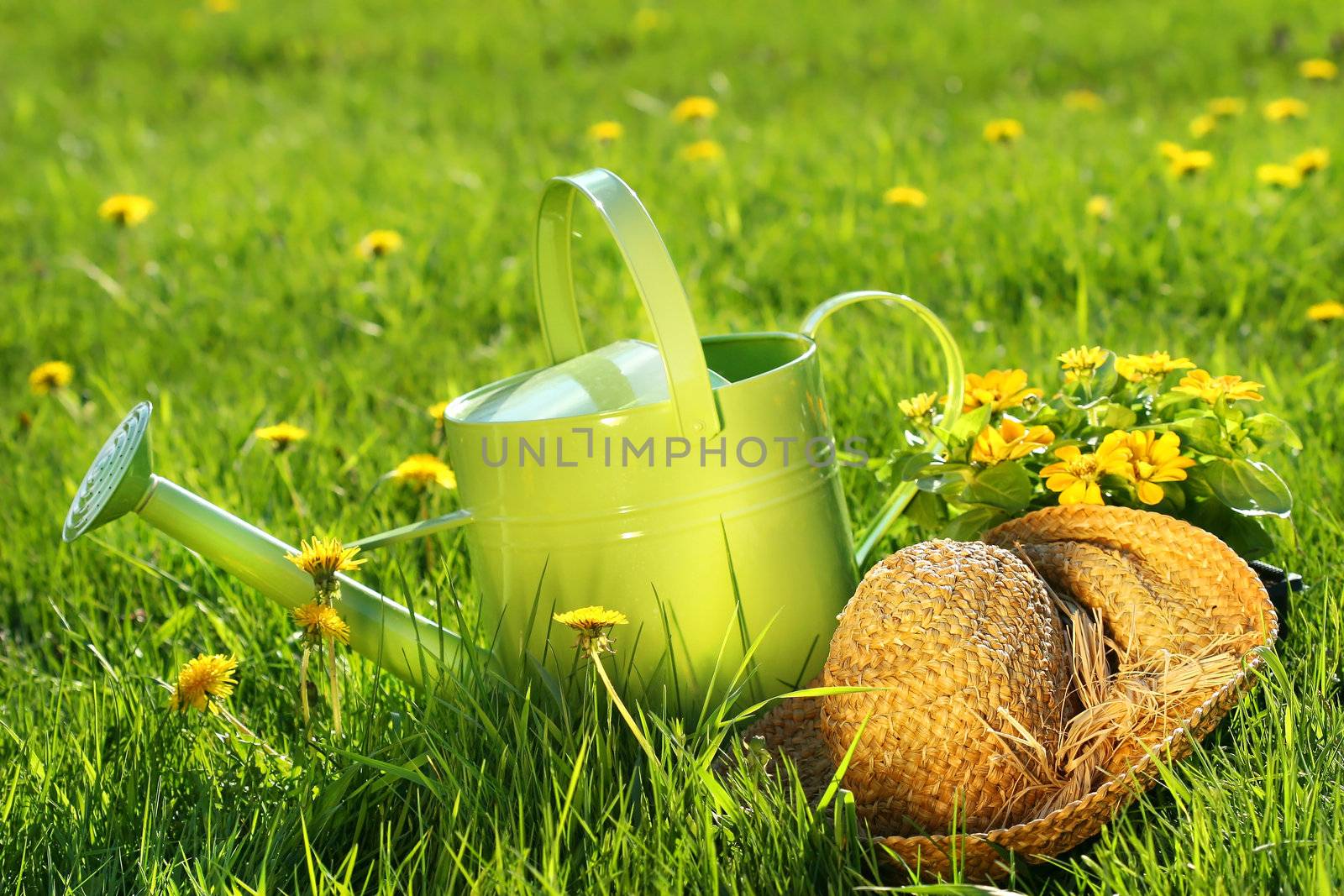 Watering can in the grass with old straw hat