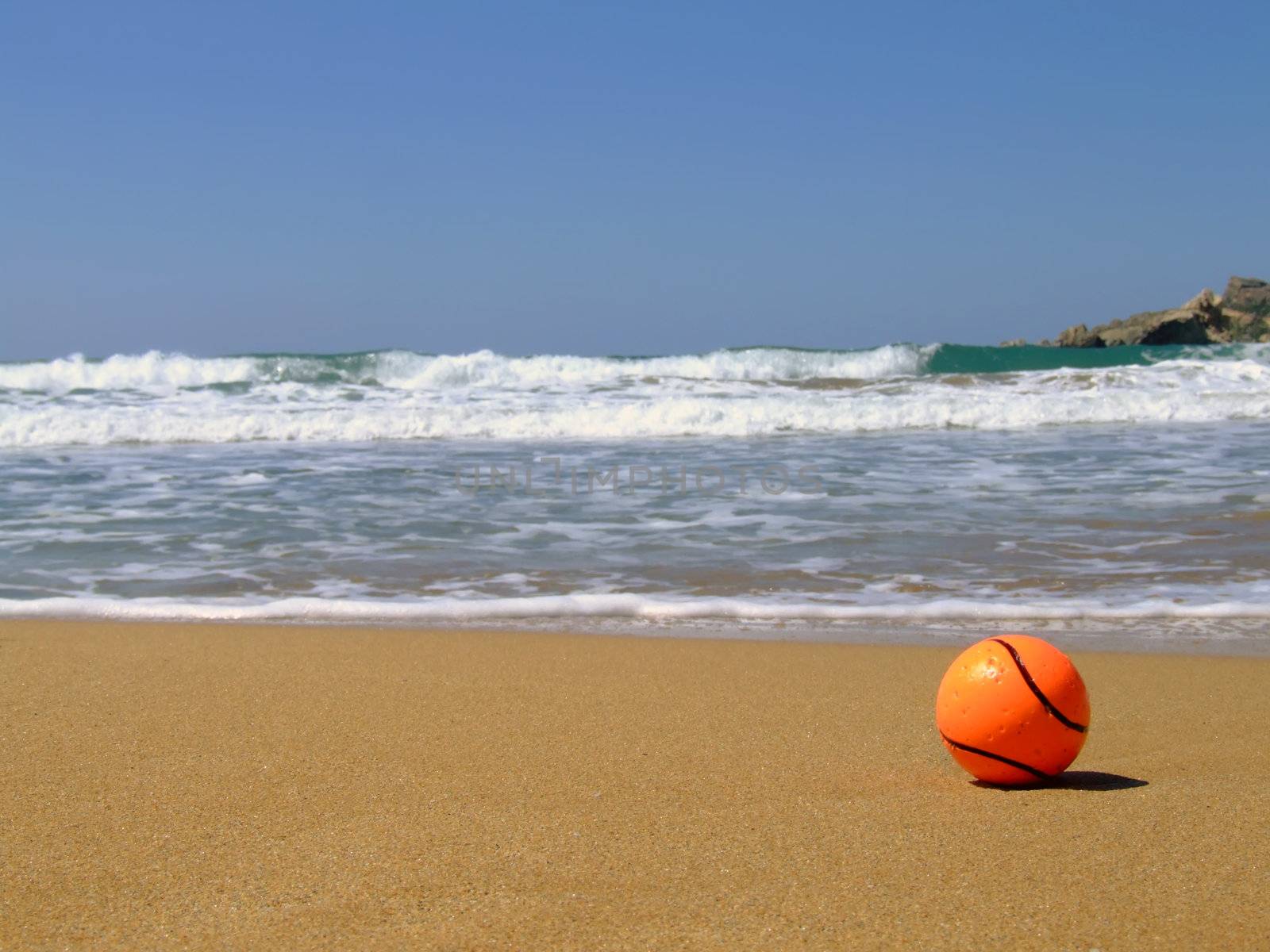 A dog's toy ball lying by the surf ona beach