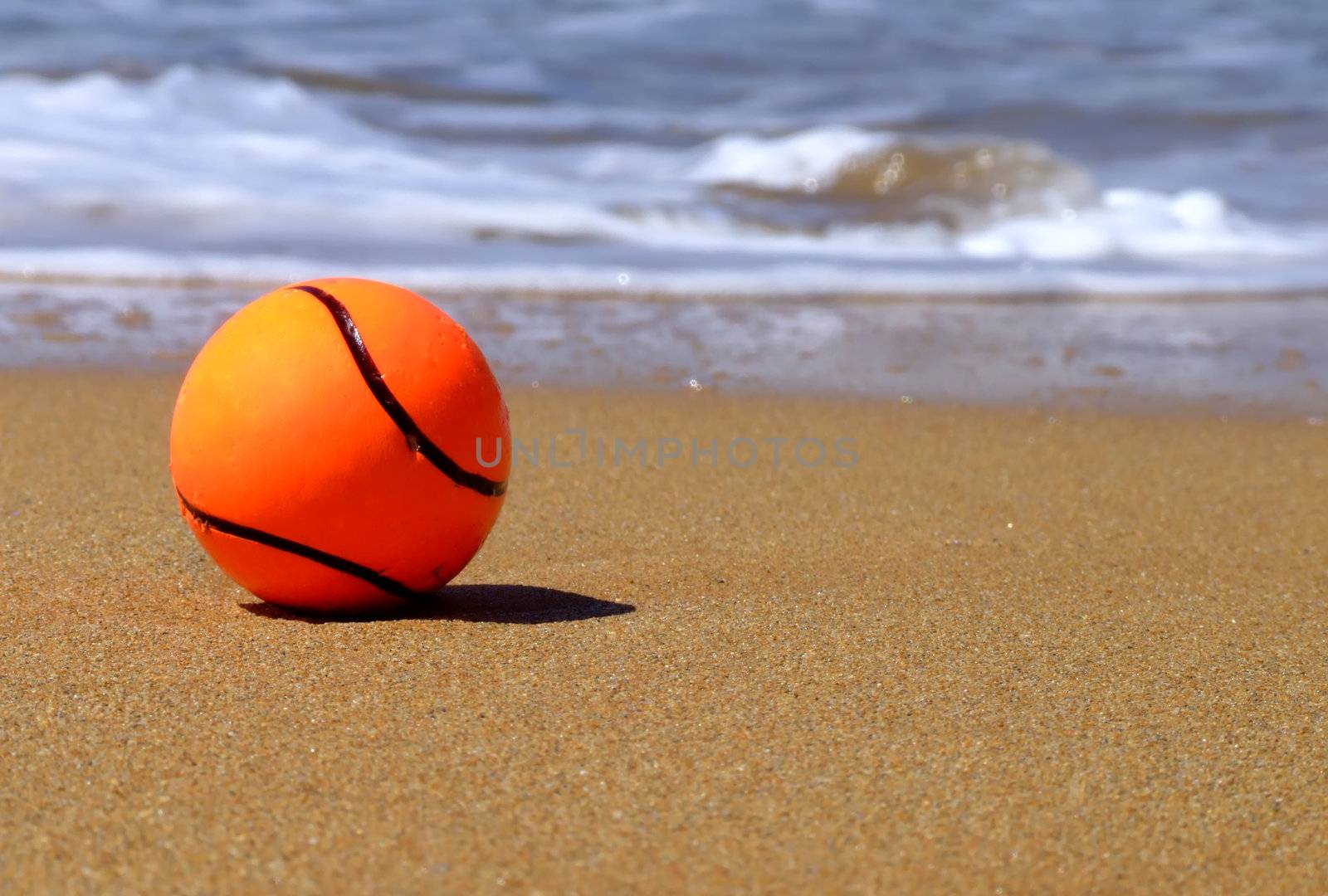 A dog's toy ball lying by the surf ona beach