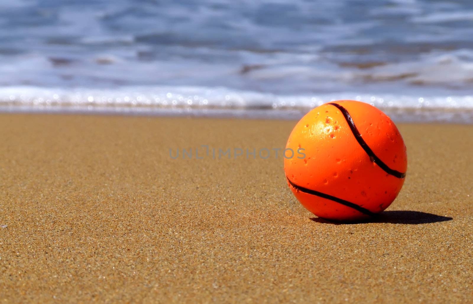 A dog's toy ball lying by the surf ona beach