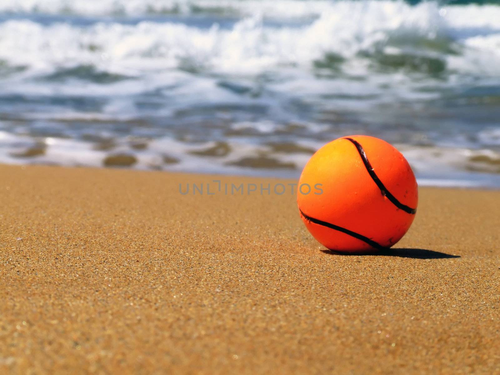 A dog's toy ball lying by the surf ona beach